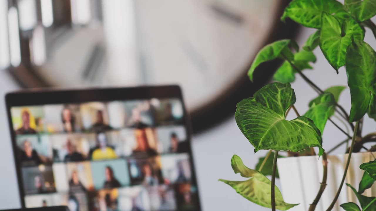 A laptop on a desk showing a video call in progress beside a houseplant